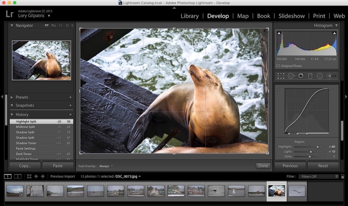Photoshop isn't the only image editor on the market – these tools are the best alternatives.